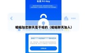 蝙蝠加密聊天是干啥的（蝙蝠聊天加人）
