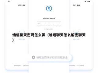 蝙蝠聊天密码怎么弄（蝙蝠聊天怎么解密聊天）