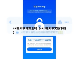 sk聊天软件安全吗（skp聊天中文版下载）