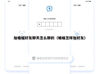 加蝙蝠好友聊天怎么聊的（蝙蝠怎样加好友）