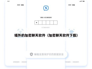 墙外的加密聊天软件（加密聊天软件下载）
