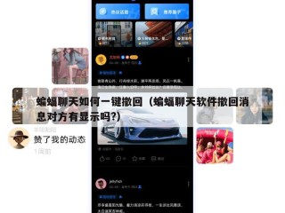 蝙蝠聊天如何一键撤回（蝙蝠聊天软件撤回消息对方有显示吗?）
