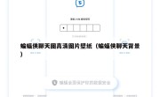蝙蝠侠聊天图高清图片壁纸（蝙蝠侠聊天背景）
