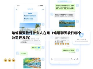 蝙蝠聊天软件什么人在用（蝙蝠聊天软件哪个公司开发的）