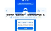 蝙蝠聊天下载教程图片（蝙蝠聊天安卓版下载）