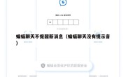 蝙蝠聊天不提醒新消息（蝙蝠聊天没有提示音）