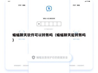 蝙蝠聊天软件可以转账吗（蝙蝠聊天能转账吗）