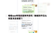 蝙蝠app如何设置聊天密码（蝙蝠软件怎么设置消息提醒?）