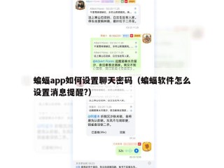 蝙蝠app如何设置聊天密码（蝙蝠软件怎么设置消息提醒?）