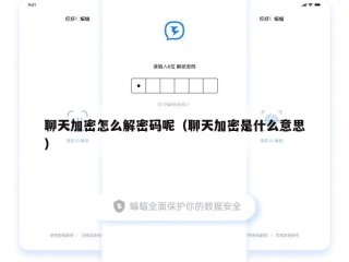 聊天加密怎么解密码呢（聊天加密是什么意思）