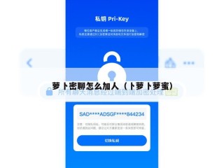 萝卜密聊怎么加人（卜萝卜萝蜜）
