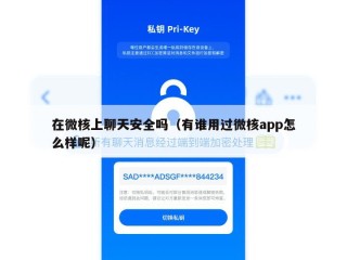 在微核上聊天安全吗（有谁用过微核app怎么样呢）