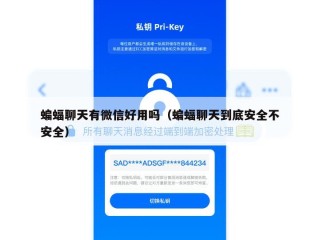 蝙蝠聊天有微信好用吗（蝙蝠聊天到底安全不安全）