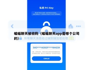 蝙蝠聊天被收购（蝙蝠聊天app是哪个公司的）