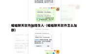 蝙蝠聊天软件加陌生人（蝙蝠聊天软件怎么加群）