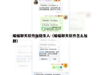 蝙蝠聊天软件加陌生人（蝙蝠聊天软件怎么加群）