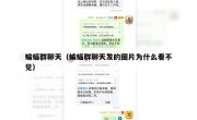 蝙蝠群聊天（蝙蝠群聊天发的图片为什么看不见）
