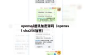 openssl通讯加密源码（openssl sha256加密）