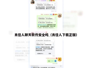 肖佳人聊天软件安全吗（肖佳人下载正版）