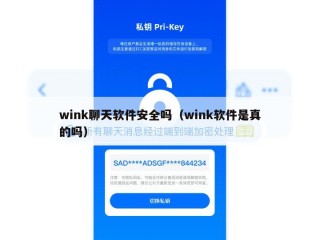 wink聊天软件安全吗（wink软件是真的吗）