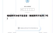 蝙蝠聊天为啥不能语音（蝙蝠聊天不能用了吗）