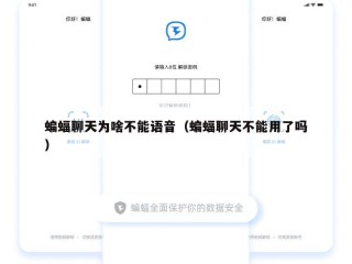 蝙蝠聊天为啥不能语音（蝙蝠聊天不能用了吗）