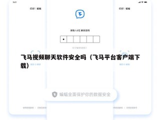飞马视频聊天软件安全吗（飞马平台客户端下载）