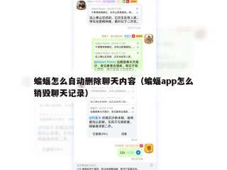 蝙蝠怎么自动删除聊天内容（蝙蝠app怎么销毁聊天记录）