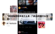 飞机的加密聊天有什么用（飞机加密是什么意思）