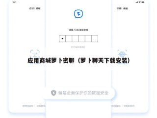 应用商城萝卜密聊（萝卜聊天下载安装）