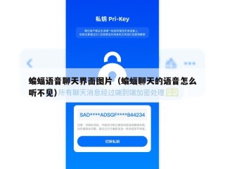 蝙蝠语音聊天界面图片（蝙蝠聊天的语音怎么听不见）