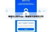 蝙蝠办公聊天app（蝙蝠聊天是哪家公司）