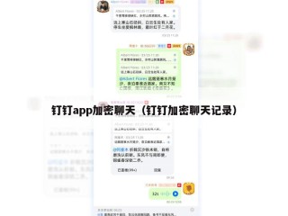 钉钉app加密聊天（钉钉加密聊天记录）