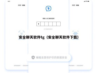 安全聊天软件tg（安全聊天软件下载）