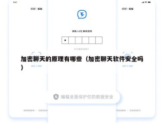 加密聊天的原理有哪些（加密聊天软件安全吗）