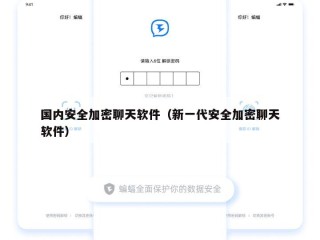 国内安全加密聊天软件（新一代安全加密聊天软件）
