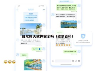 维尔聊天软件安全吗（维尔百科）
