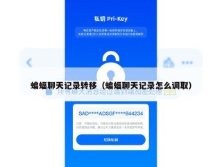 蝙蝠聊天记录转移（蝙蝠聊天记录怎么调取）