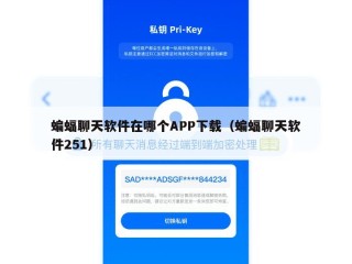 蝙蝠聊天软件在哪个APP下载（蝙蝠聊天软件251）