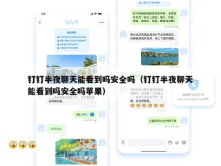 钉钉半夜聊天能看到吗安全吗（钉钉半夜聊天能看到吗安全吗苹果）