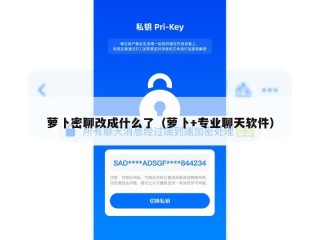 萝卜密聊改成什么了（萝卜+专业聊天软件）