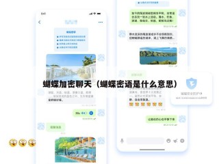 蝴蝶加密聊天（蝴蝶密语是什么意思）