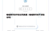 蝙蝠聊天软件验证码截图（蝙蝠聊天收不到验证码）