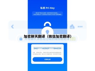 加密聊天翻译（微信加密翻译）