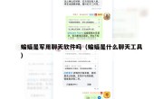 蝙蝠是军用聊天软件吗（蝙蝠是什么聊天工具）