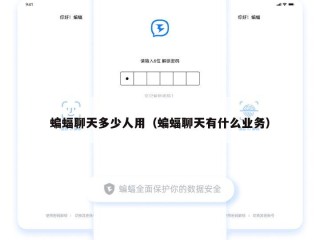 蝙蝠聊天多少人用（蝙蝠聊天有什么业务）