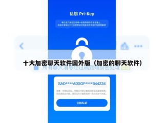 十大加密聊天软件国外版（加密的聊天软件）
