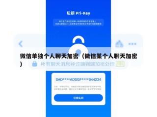 微信单独个人聊天加密（微信某个人聊天加密）