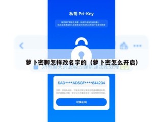萝卜密聊怎样改名字的（萝卜密怎么开启）