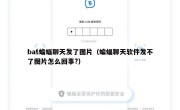 bat蝙蝠聊天发了图片（蝙蝠聊天软件发不了图片怎么回事?）
